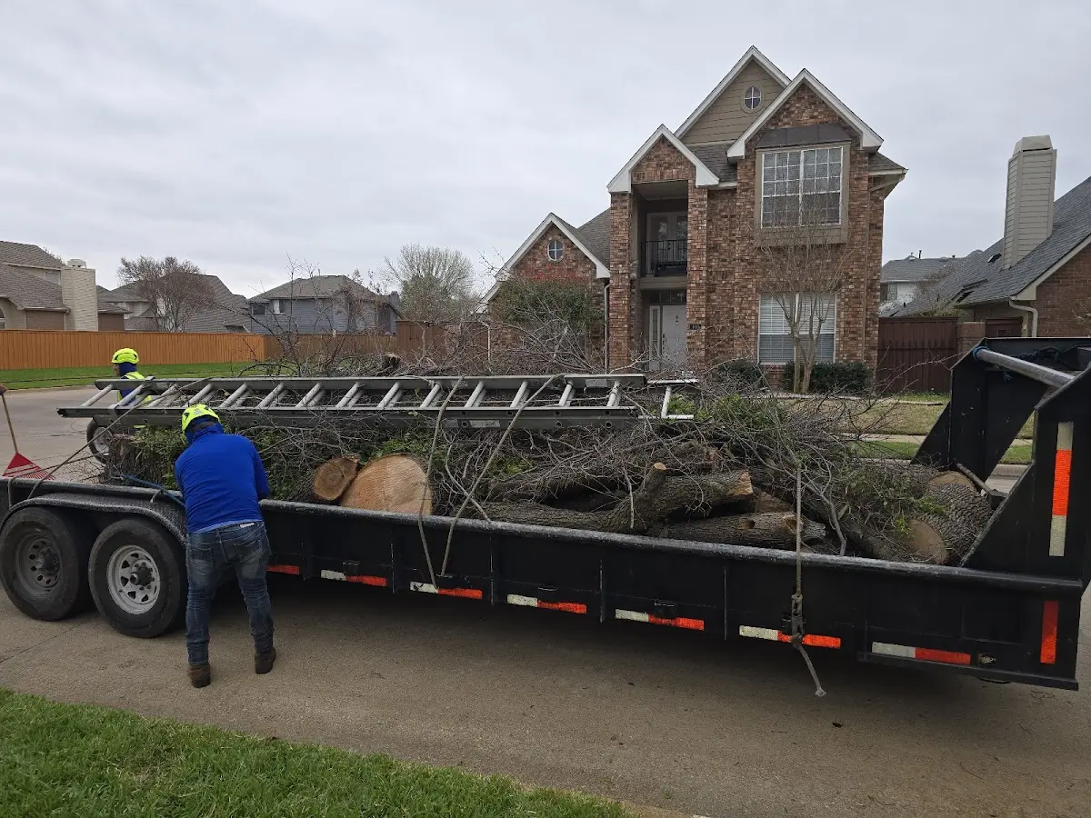Expert Tree Fertilization with proper safety equipment in Oklaunion